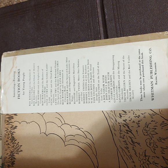 Robin Hood by Howard Pyle, Black Beauty Anna Sewell Whitman Publishing Company - Picture 7 of 14
